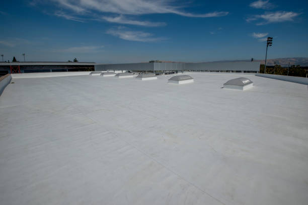 Best Roof Coating and Sealing  in Castroville, TX