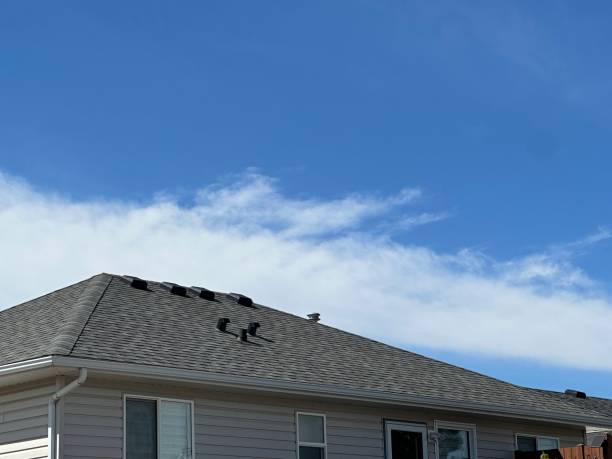 Fast & Reliable Emergency Roof Repairs in Castroville, TX